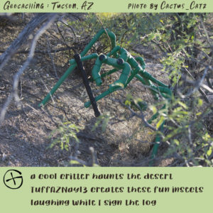 praying mantis geocache made from pvc pipes, photo by M. LaFreniere, GeocachingCactus